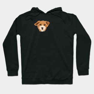 Riley Hoodie